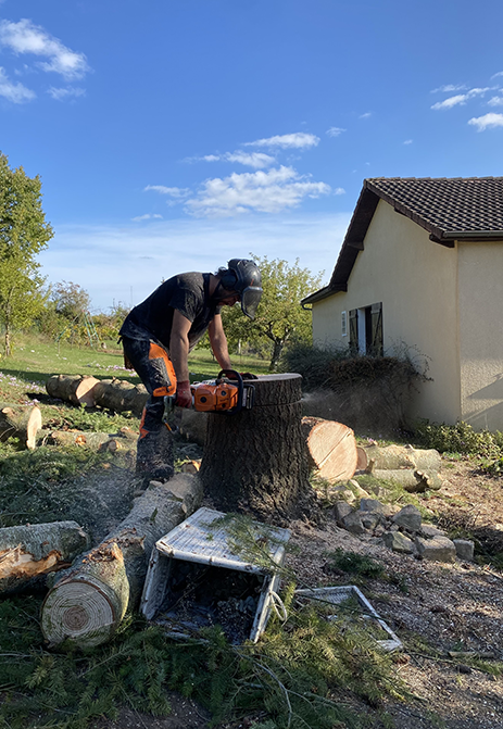 Abattage arbre Les Vallées de la Vanne, Abattage arbre Sens, Abattage arbre Yonne (89)