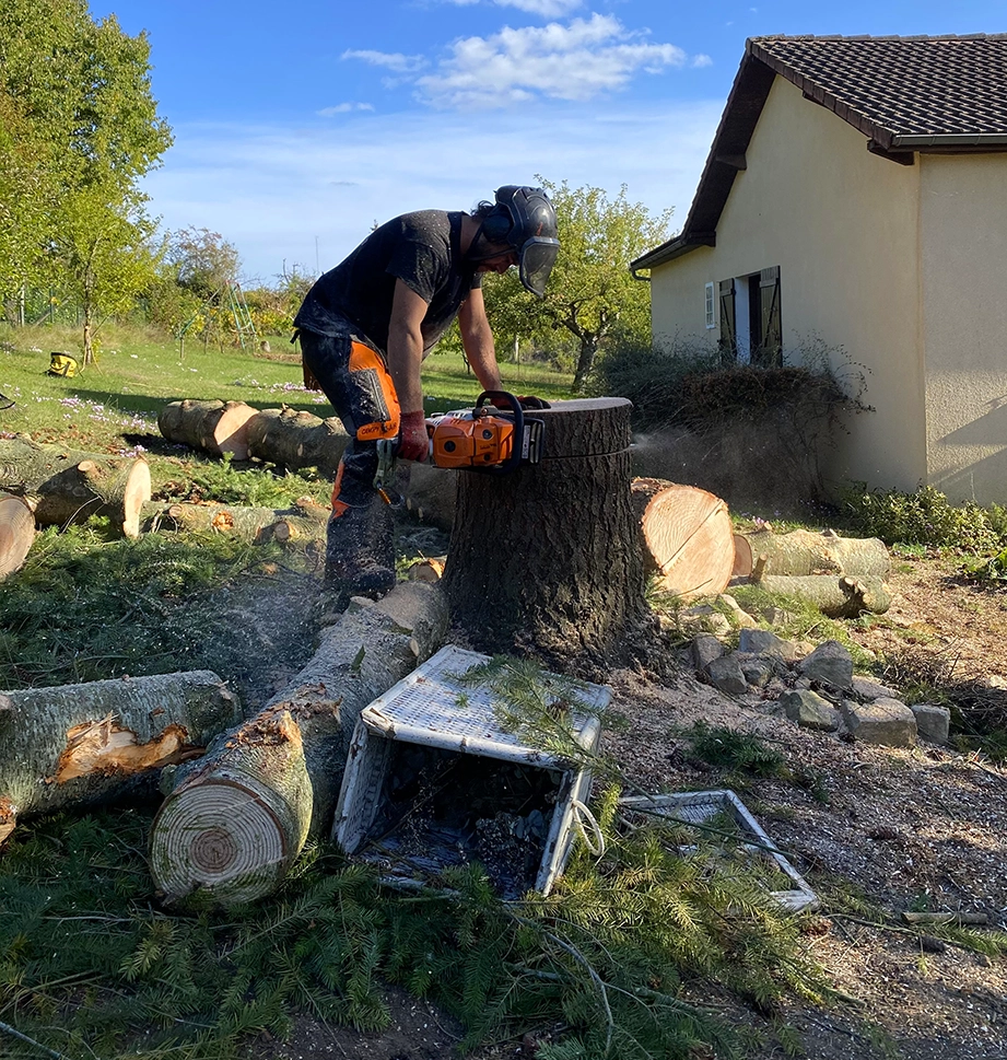 Abattage arbre Les Vallées de la Vanne, Abattage arbre Sens, Abattage arbre Yonne (89)