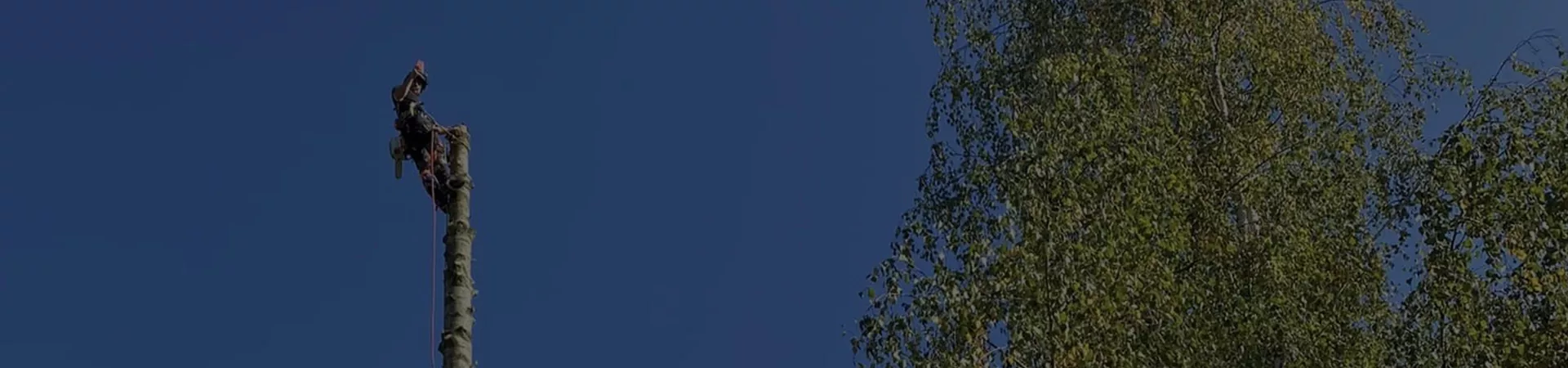 DURU ELAGAGE